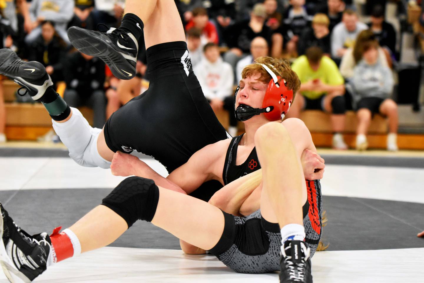 Brock Shaha of Mount Ayr took third place at 113 lbs.