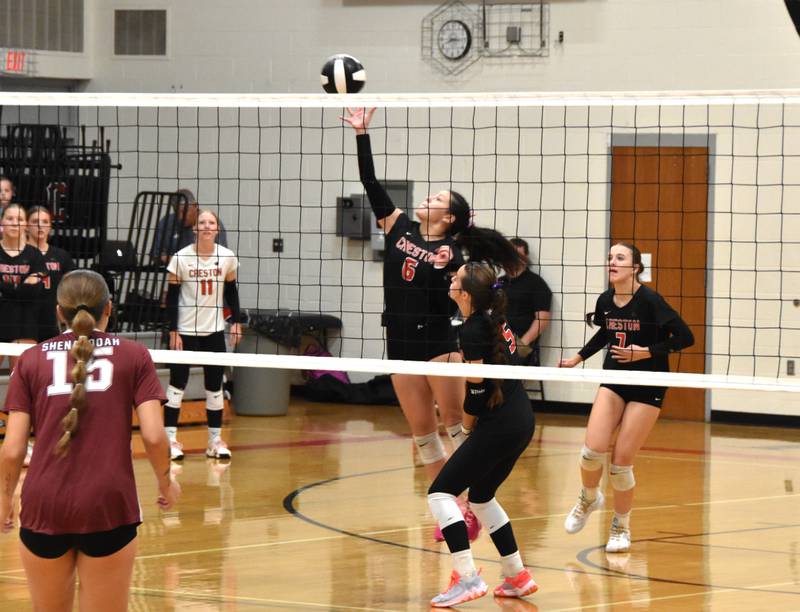 Senior Mila Kuhns puts the ball over the net Thursday in a 3-0 loss to Shenandoah at home. Kuhns was 100% on serves.