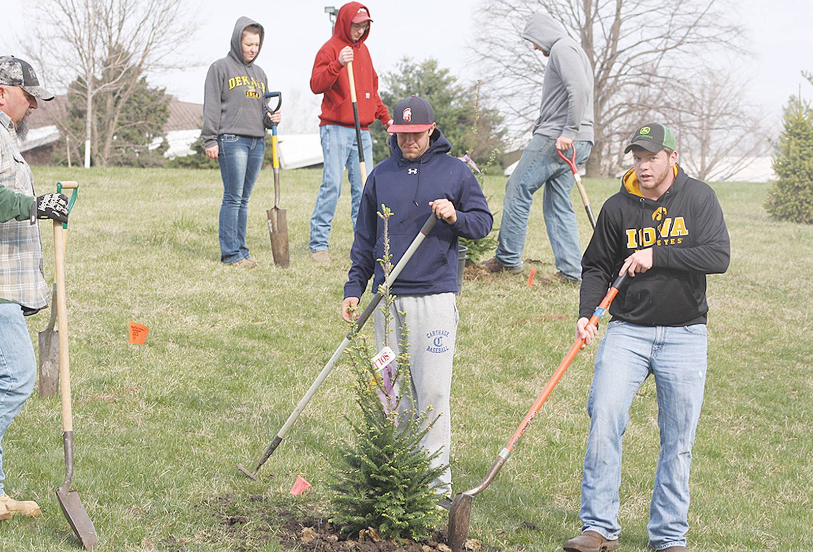 trees-planted-in-creston-using-alliant-energy-trees-forever-9-990